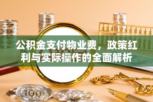 独山公积金支付物业费，政策红利与实际操作的全面解析