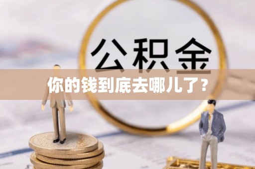 独山你的钱到底去哪儿了？