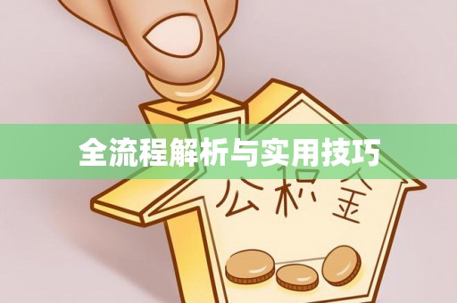 独山全流程解析与实用技巧