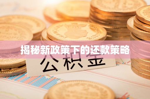 独山揭秘新政策下的还款策略