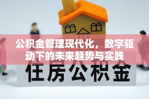 独山公积金管理现代化，数字驱动下的未来趋势与实践