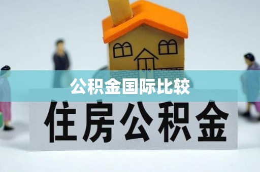 独山公积金国际比较