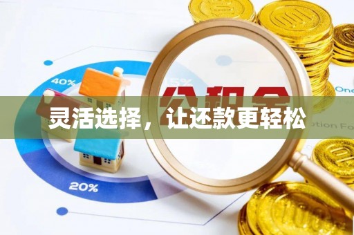 独山灵活选择，让还款更轻松