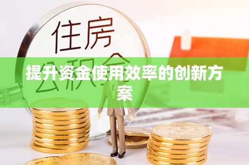 独山提升资金使用效率的创新方案