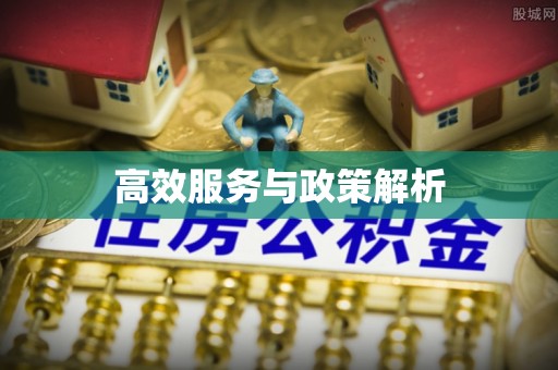 独山高效服务与政策解析