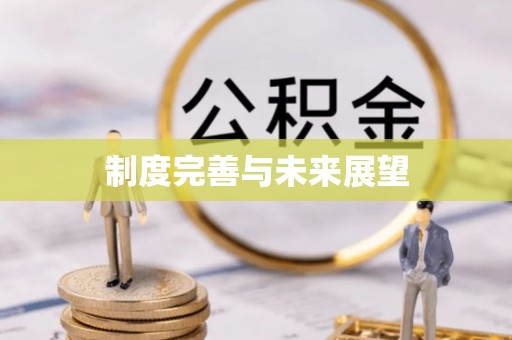 独山制度完善与未来展望