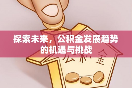 独山探索未来，公积金发展趋势的机遇与挑战