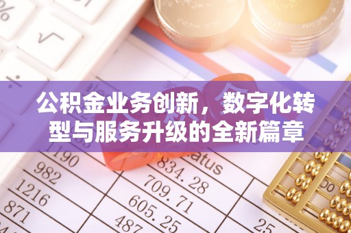 独山公积金业务创新，数字化转型与服务升级的全新篇章