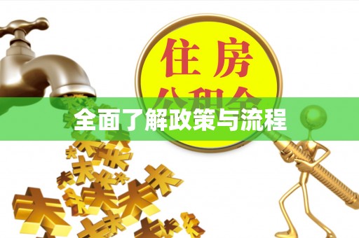独山全面了解政策与流程
