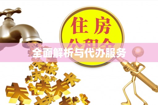 独山全面解析与代办服务