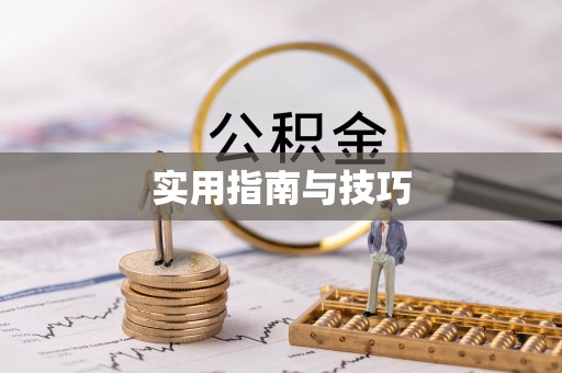独山实用指南与技巧
