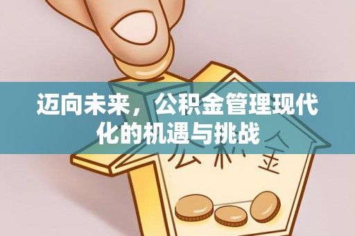 独山迈向未来，公积金管理现代化的机遇与挑战