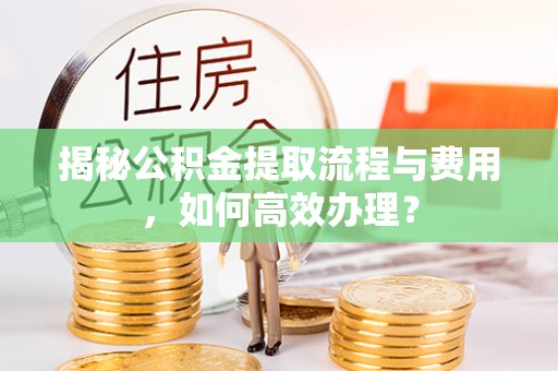 独山揭秘公积金提取流程与费用，如何高效办理？