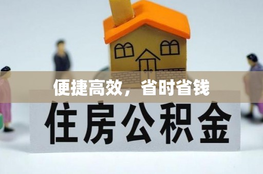 独山便捷高效，省时省钱