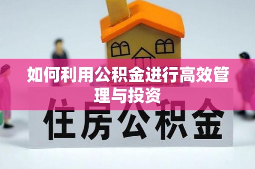 独山如何利用公积金进行高效管理与投资