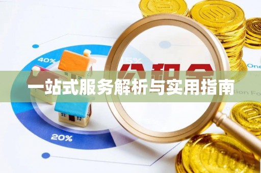 独山一站式服务解析与实用指南