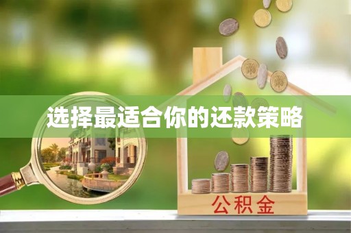 独山选择最适合你的还款策略