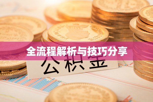 独山全流程解析与技巧分享
