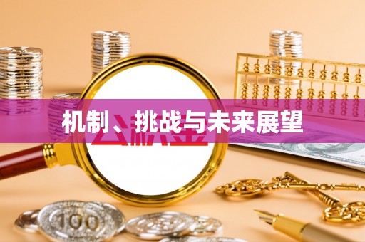 独山机制、挑战与未来展望